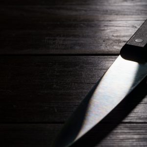 VX Cleaver Chinese Curved 8x3
