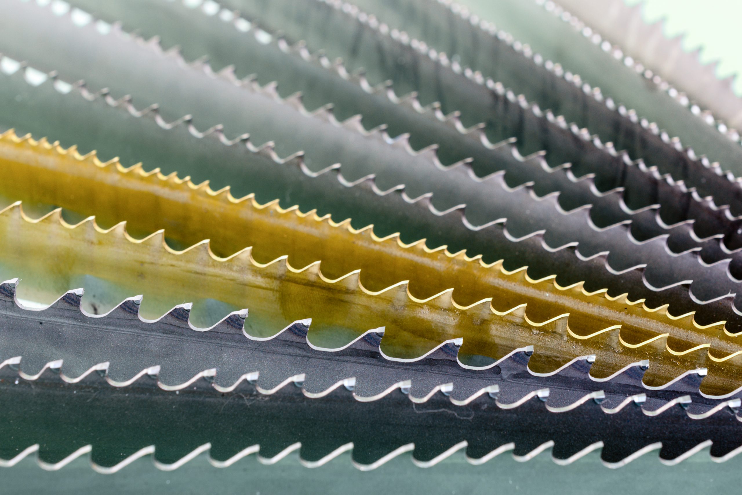 Scallop blade